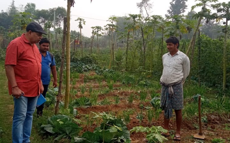 Organic Farming & High-Value Vegetables