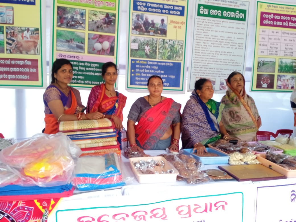 Testimonial from Padmalaya Mohapatra